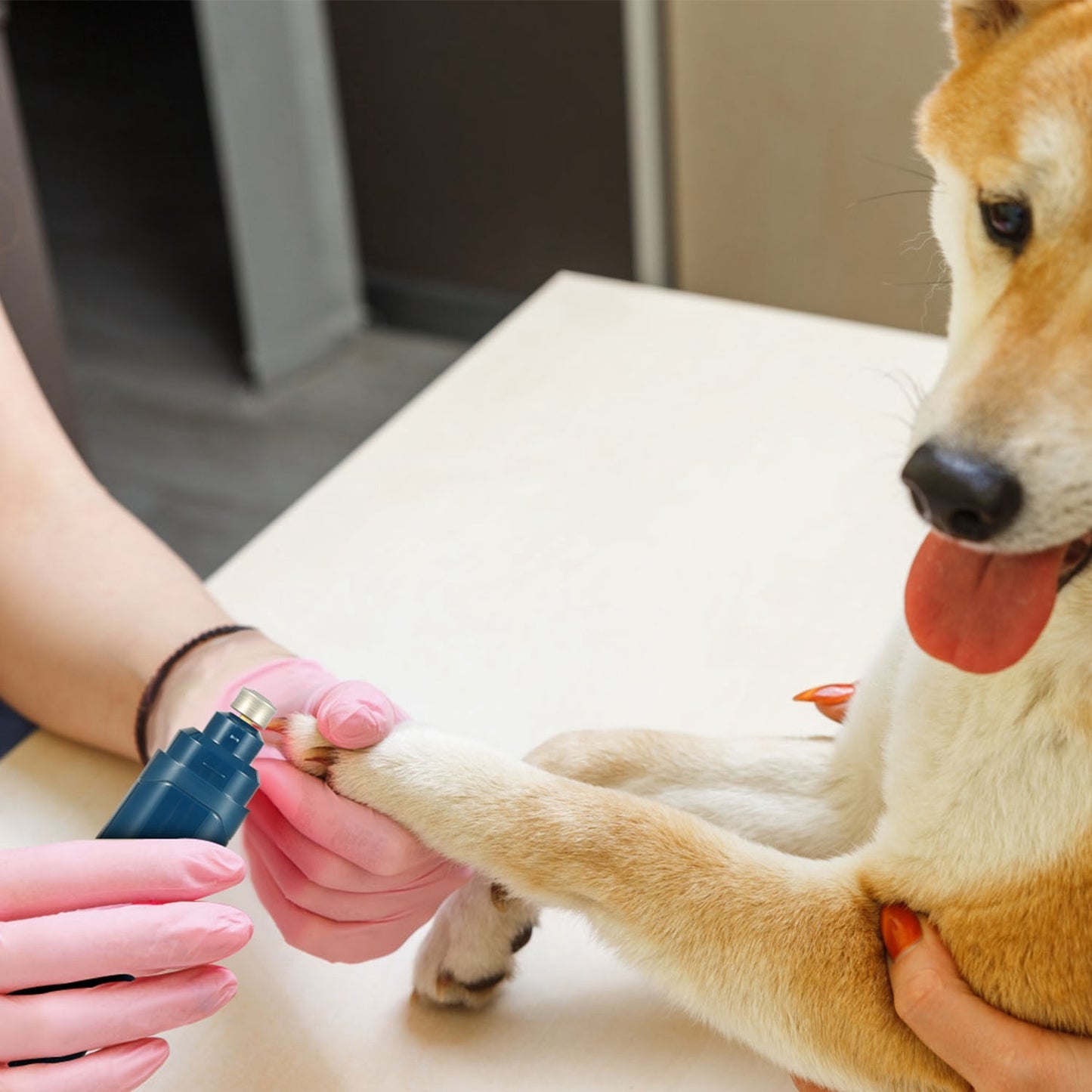 2-Speed Dog Nail Grinder – Quiet USB Rechargeable Cordless Pet Nail Trimmer for Dogs & Cats