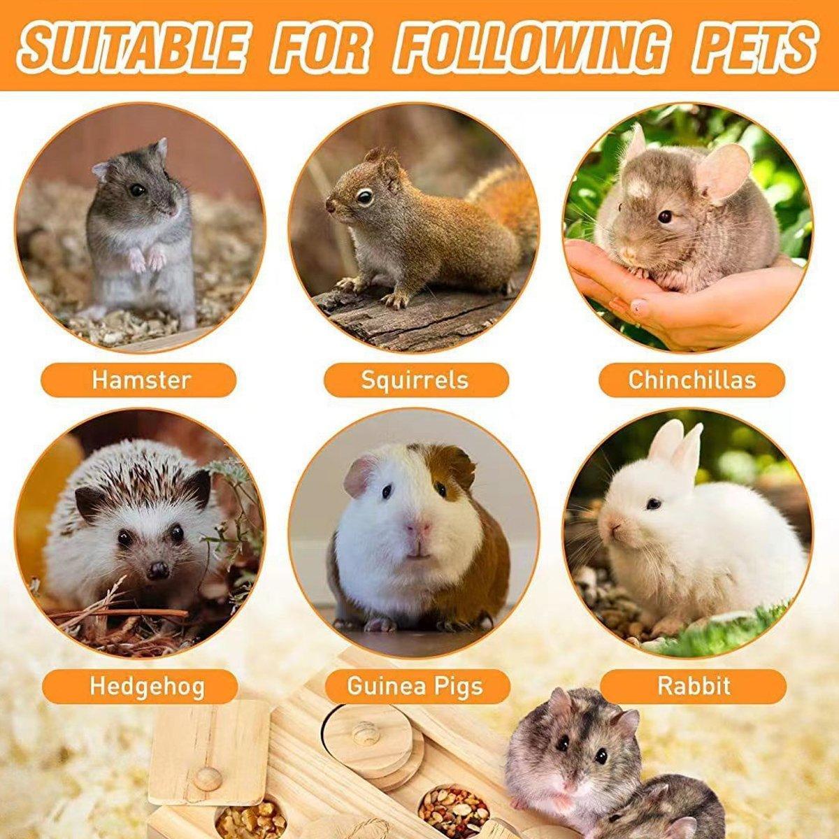 Hamster-Futtersnack