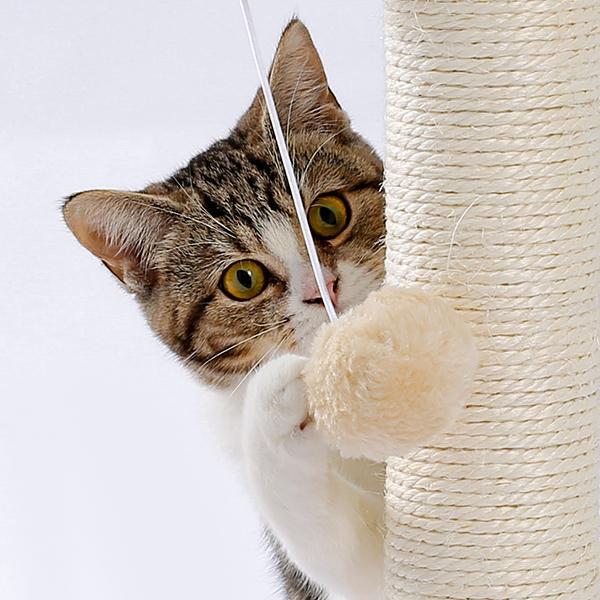 Indoor Cat Scratching Board with Interactive Ball Track – Soft Rest & Grooming Toy