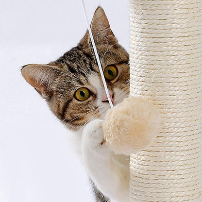 Indoor Cat Scratching Board with Interactive Ball Track – Soft Rest & Grooming Toy