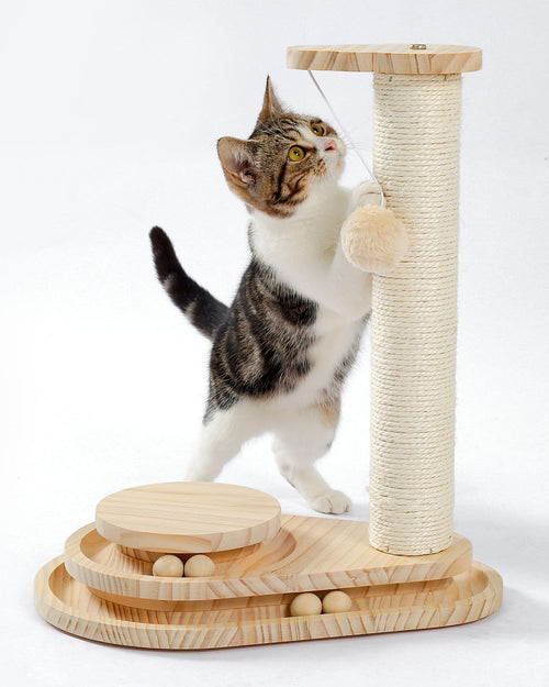 Indoor Cat Scratching Board with Interactive Ball Track – Soft Rest & Grooming Toy
