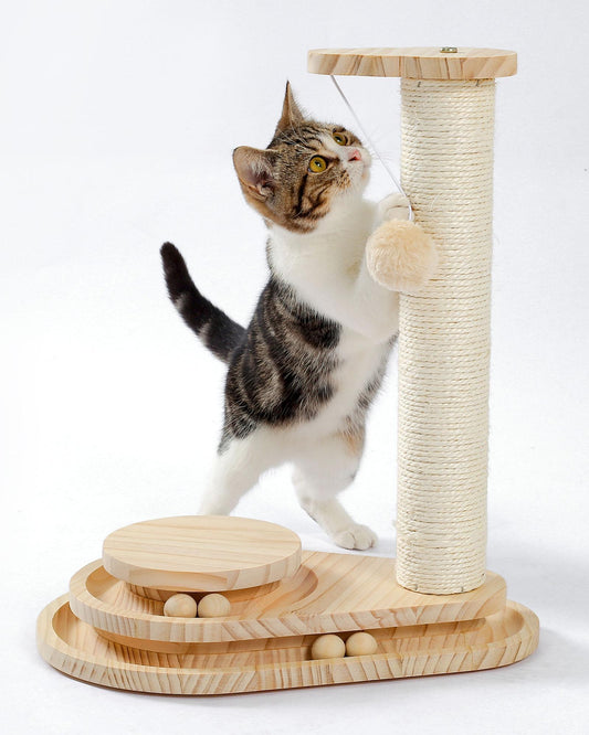 Indoor Cat Scratching Board with Interactive Ball Track – Soft Rest & Grooming Toy
