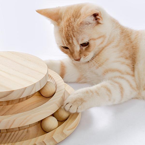 Indoor Cat Scratching Board with Interactive Ball Track – Soft Rest & Grooming Toy