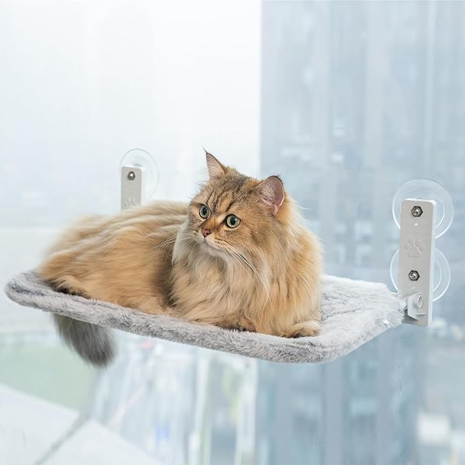 Cat Hammock