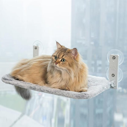 Cat Hammock