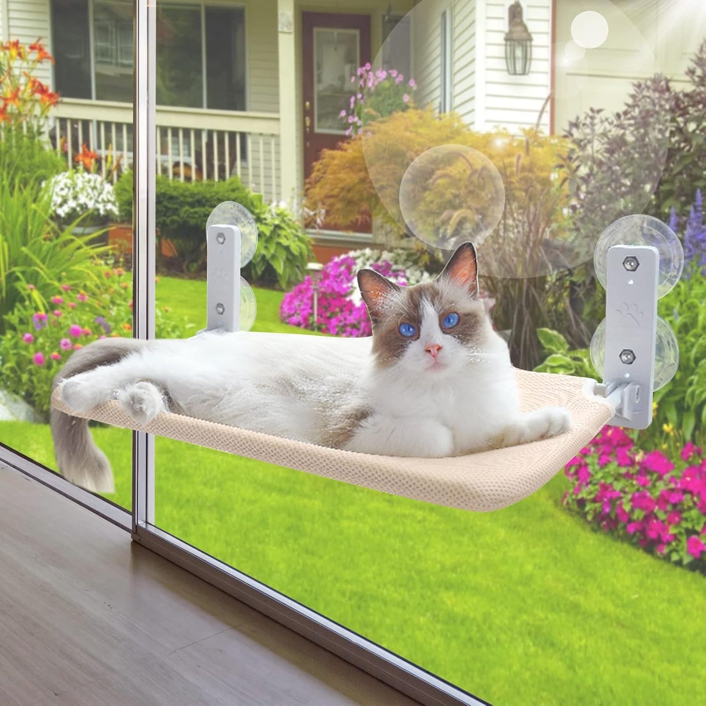 Cat Hammock