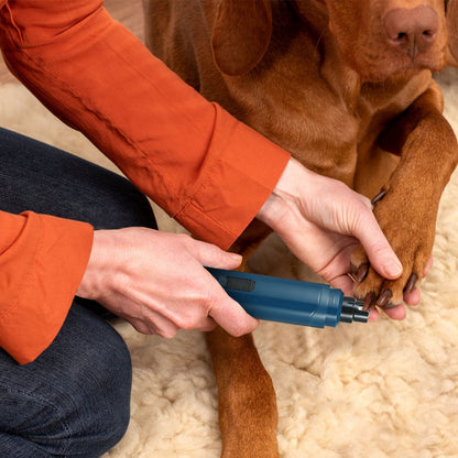2-Speed Dog Nail Grinder – Quiet USB Rechargeable Cordless Pet Nail Trimmer for Dogs & Cats