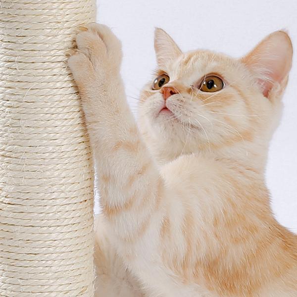 Indoor Cat Scratching Board with Interactive Ball Track – Soft Rest & Grooming Toy