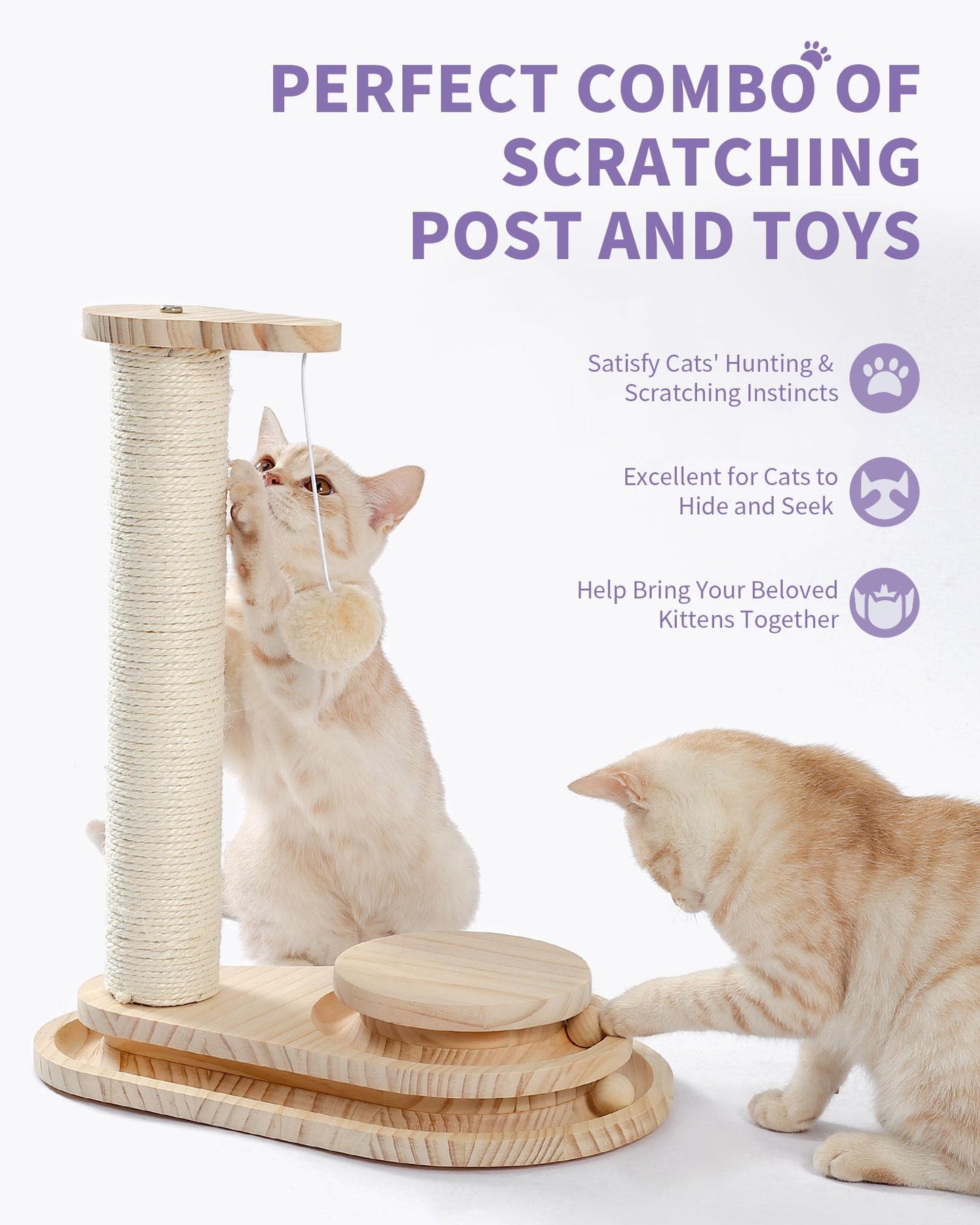Indoor Cat Scratching Board with Interactive Ball Track – Soft Rest & Grooming Toy