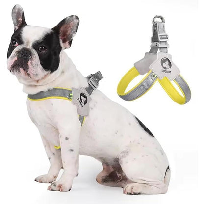 Pet Harness with Leash Set – Adjustable No-Pull, No-Choke Dog & Cat Harness, Reflective and Comfortable for Training & Walking