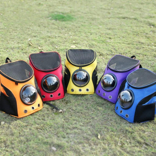 Adventure Paws Portable Pet Carrier: The Stylish Solution For