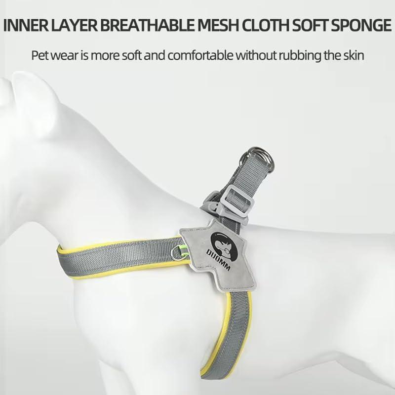 Pet Harness with Leash Set – Adjustable No-Pull, No-Choke Dog & Cat Harness, Reflective and Comfortable for Training & Walking