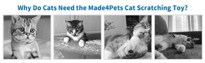 Indoor Cat Scratching Board with Interactive Ball Track – Soft Rest & Grooming Toy